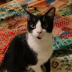 Daphne Baccus Huffman - @dafcalendar3 - Instagram