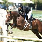 Daphne Foran - Foran Hunter Jumpers - @foranhunterjumpers - Instagram