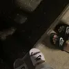 jj - @daphnejameslord - TikTok