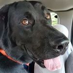 Daphne Moore - @daphne.moore.560272 - Instagram