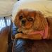 Daphne Mullen - Facebook