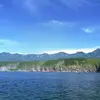 daphnemullen500 - @daphnemullen500 - TikTok