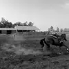 daphne oakes - @daphne.oakes - TikTok