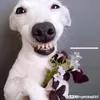 Daphne Pierce - @haihcm.39 - TikTok
