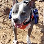 Daphne - @daphnepittie - Instagram