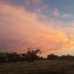 daphne rogers - @daphnerogers6727 - Instagram