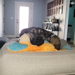 Daphne Rogers - @stvs_grl - Instagram