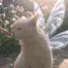 Daphne - @daphneuy - TikTok