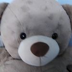 @daphneuy16 - Instagram