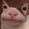 daphnevasquez84 - @daphnevasquez84 - TikTok