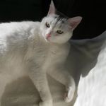 Daphne Walker - @daphne.walker.vermont - Instagram