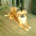 Daphne Wall - Facebook