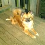 Daphne Wall - @dwarren1077 - Instagram