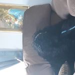 Daphne Wallace - @daphnewallace12 - Instagram