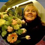 Daphne Wallace Gerlach - @gerlachdaphnewallace_ - Instagram