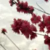 daphnewarner - @daphnewarner - TikTok