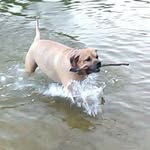 Daphne Stegall Watts - @daphnestegallwatts - Instagram