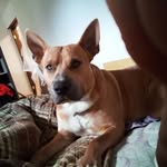 Daphne Watts - @jtw72574 - Instagram