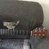 daphnewatts5 - @daphnewatts5 - TikTok