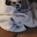 Daphna Webster - Facebook