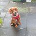 Daphne Weir - Facebook