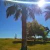 daphn - @daphneweiss58 - TikTok