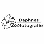 Daphne Winter - @daphnes_zoofotografie - Instagram
