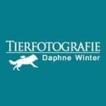 Daphne Winter - @tierfotografie_daphne_winter - Instagram