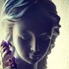 daphnewinteriris - @daphnewinteriris - TikTok