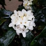 winter_daphne__ - @winter_daphne__ - Instagram