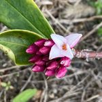 winterdaphne49 - @winterdaphne49 - Instagram