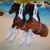 daphnewiselion - @daphnewiselion - TikTok