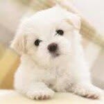 Daphne Workman - @daphne_workman223 - Instagram