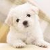 Daphne Workman - Facebook