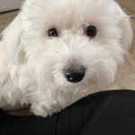 Daphne Yates - @warnerwarrior - Instagram