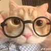 luccia cute♡ - @sapdairaquan - TikTok