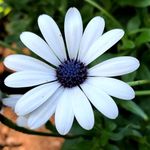 Dara Brown - @dara_eliana_photography - Instagram