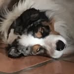 Dara Franklin - @franklindara - Instagram