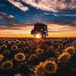 Dara Grovestine - @dara.grovestine.345 - Instagram