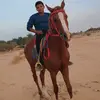 سالم الزاهي 🐴 - @daraham.1m - TikTok