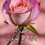 Heba Darahem - @darahemheba - Instagram