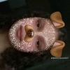 Dara Hernandez - @dara.hernandez7 - TikTok