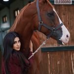 Sara Dara - @sara_dara_horse - Instagram
