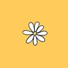 dariaholder. - @dariaholder._ - TikTok