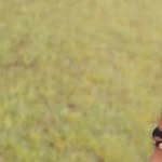 LOSSER - @dara_hollend - Instagram