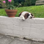 Dara Hunt - Facebook
