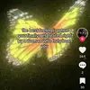 alkadarairani@gmail.com - @alkadarairanigmai - TikTok