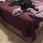 Dara Jackson - @dara.jackson.10 - Instagram