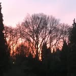 Jean-Philippe Dara - @darajeanphilippe - Instagram