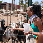Dara Johnston | Travel Agent ✈️ - @adventureswith_dara - Instagram